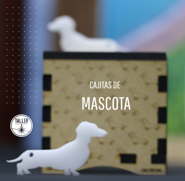 Cajita Mascota - Perro salchicha