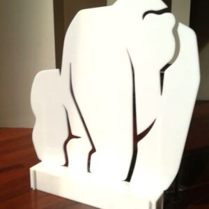 Gorila Acrílico - Variedad de diseños acrílico